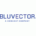 BluVector