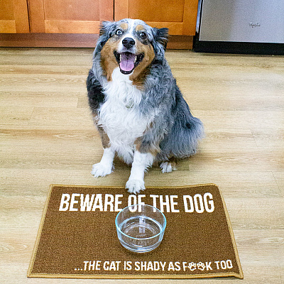 Pet Mat 16x24 Beware Of Dog, 1 Each (PM-16X24-BEWARE)