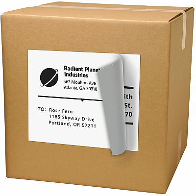 Avery Shipping Labels, Permanent Adhesive, 8-1/2" x 11" , 100 Labels (AVE5165)