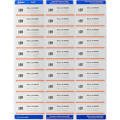 Avery Easy Peel Address Labels (AVE5960)