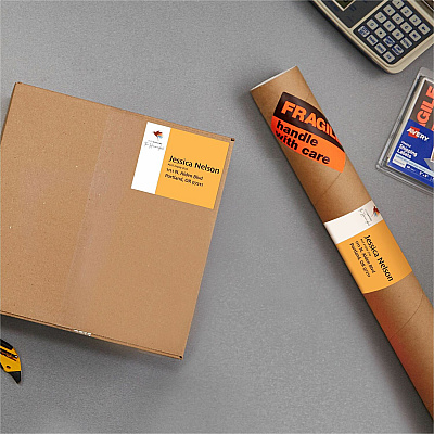 Avery Shipping Labels, Sure Feed, 3-3/4" x 4-3/4" , 100 Labels (AVE6878)