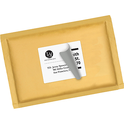 Avery Shipping Labels, Sure Feed, 3-1/3" x 4" , 600 White Labels (5164)