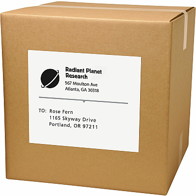 Avery Shipping Labels for Copiers, 8-1/2" x 11" , 100 Labels (AVE5353)