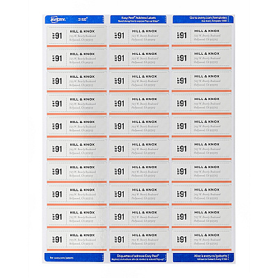 Avery Easy Peel Address Labels - Sure Feed Technology (AVE18160)