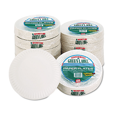 AJM Packaging White Paper Plates, 9" dia, 100/Pack (AJMPP9GREWHPK)