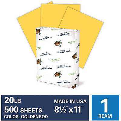 Hammermill Colors Recycled Copy Paper - Gold (HAM103168)