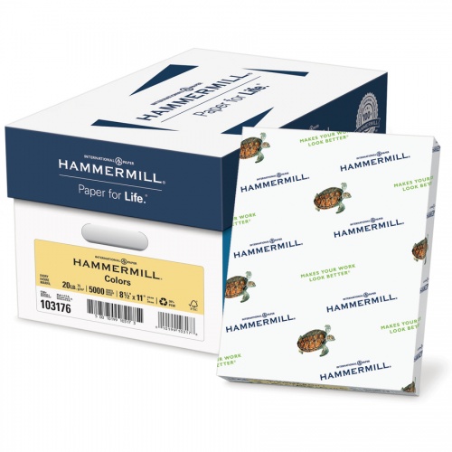Hammermill Paper for Copy 8.5x11 Laser, Inkjet Copy & Multipurpose Paper - Ivory - Recycled - 30% Recycled Content (103176)