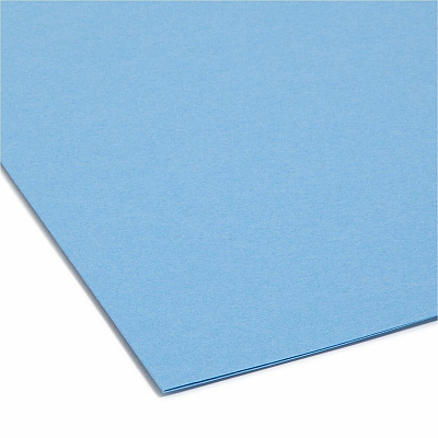 Smead 1/3 Tab Cut Letter Recycled Top Tab File Folder (SMD10239)