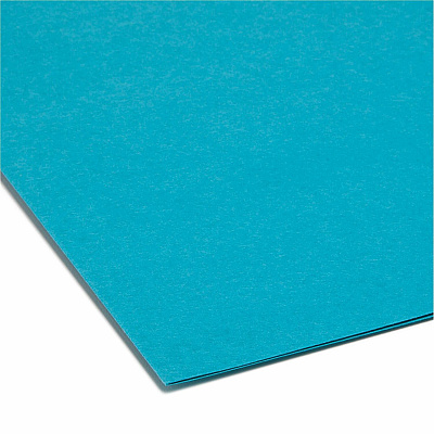 Smead Colored 1/3 Tab Cut Letter Recycled Top Tab File Folder (SMD13143)