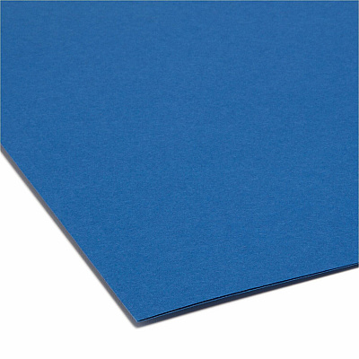 Smead Colored 1/3 Tab Cut Letter Recycled Top Tab File Folder (SMD13193)