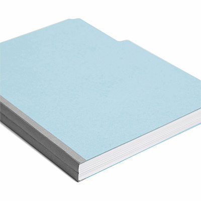 Smead Colored 1/3 Tab Cut Letter Recycled Top Tab File Folder (SMD21530)
