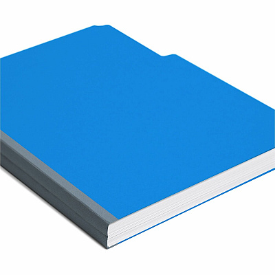 Smead Colored 1/3 Tab Cut Letter Recycled Top Tab File Folder (SMD21541)