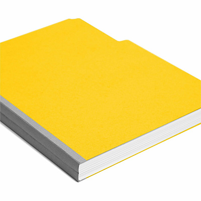 Smead Colored 1/3 Tab Cut Letter Recycled Top Tab File Folder (SMD21562)