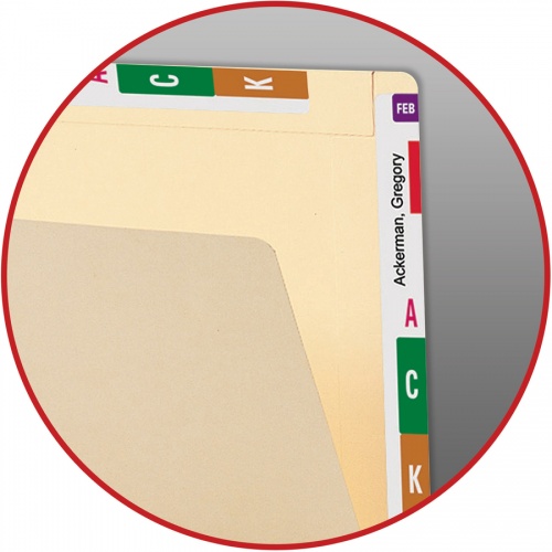 Smead Letter Recycled End Tab File Folder (24190)