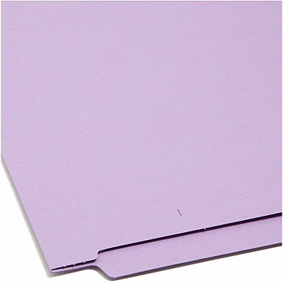 Smead Shelf-Master Straight Tab Cut Letter Recycled End Tab File Folder (SMD25410)