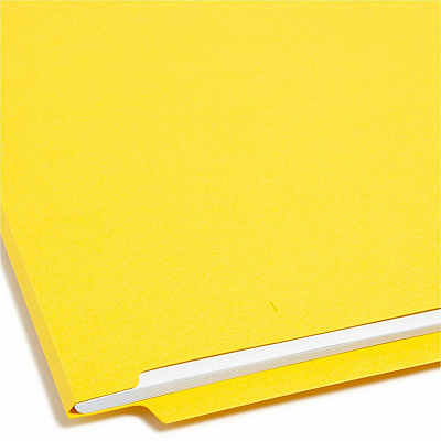 Smead Colored Straight Tab Cut Letter Recycled End Tab File Folder (SMD25910)