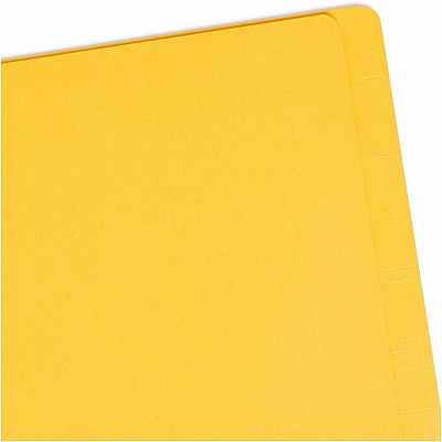 Smead 1/3 Tab Cut Letter Recycled Classification Folder (SMD26789)
