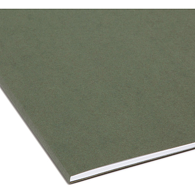 Smead Letter Recycled Hanging Folder (SMD64010)