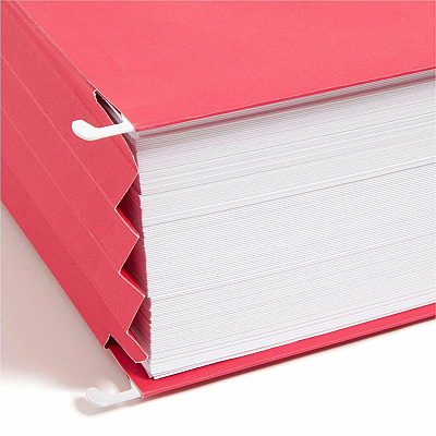 Smead Flex-I-Vision Letter Recycled Hanging Folder (SMD64290)