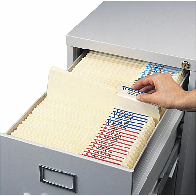 Smead Viewables Tabs with Label Protector (SMD64910)