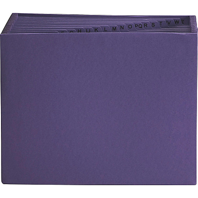 Smead Letter Recycled Expanding File (SMD70721)