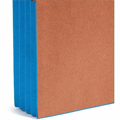 Smead Straight Tab Cut Letter Recycled File Pocket (SMD73679)