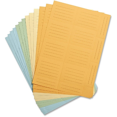 Compucessory CD/DVD Ring Binder Storage Pages (CCS22297)