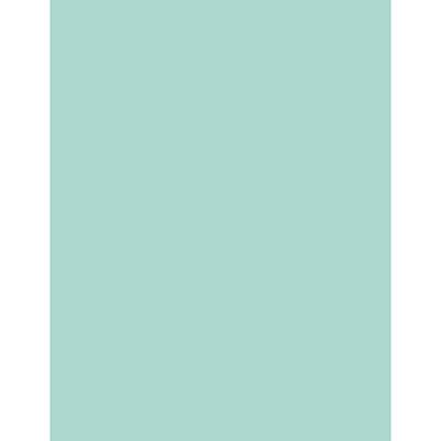 Sparco Premium Copy Paper - Blue (SPR05121)