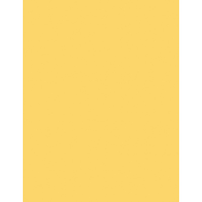 Sparco Premium Copy Paper - Canary (SPR05122)