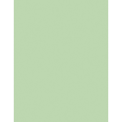 Sparco Premium Copy Paper - Green (SPR05123)