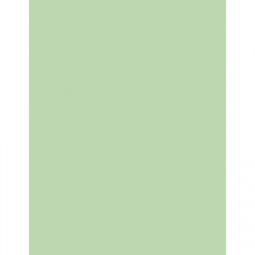 Sparco Premium Copy Paper - Green (05123)