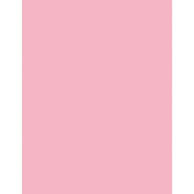 Sparco Premium Copy Paper - Pink (SPR05124)