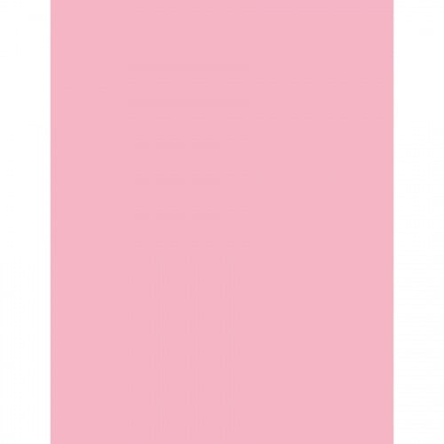Sparco Premium Copy Paper - Pink (05124)