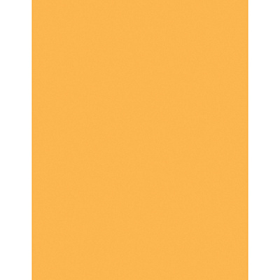 Sparco Premium Copy Paper - Goldenrod (SPR05125)