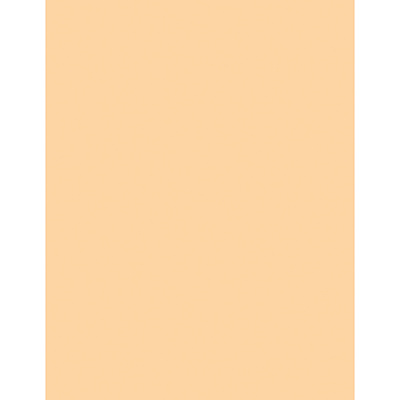 Sparco Premium Copy Paper - Ivory (SPR05127)