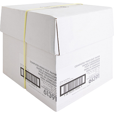 Sparco Perforated Blank Computer Paper (SPR61391)