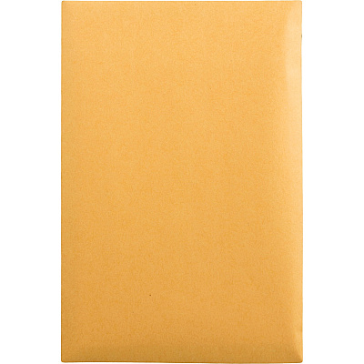 Quality Park 6 x 9 Catalog Mailing Envelopes with Redi-Strip Self-Seal Closure (QUA44162)