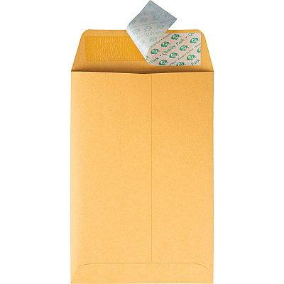 Quality Park 6 x 9 Catalog Mailing Envelopes with Redi-Strip Self-Seal Closure (QUA44162)