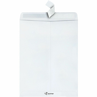 Quality Park 10 x 13 Tech-no-Tear Paper Out Catalog Envelopes with Self-Sealing Closure (QUA77397)