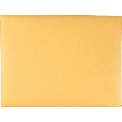 Quality Park 9 x 12 Clasp Envelopes with Deeply Gummed Flaps (QUA38090)