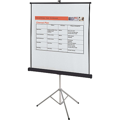 Quartet Manual Projection Screen (QRT570S)