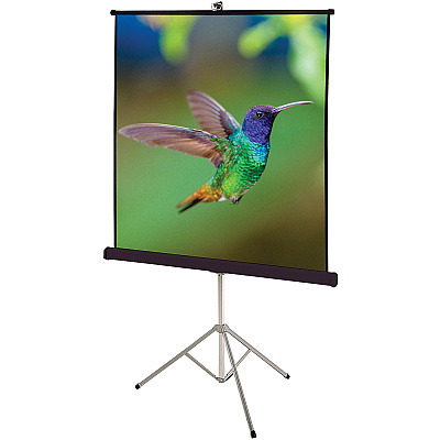Quartet Manual Projection Screen (QRT570S)