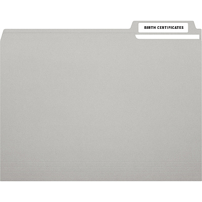 MACO Assorted Laser/Inkjet File Folder Labels (MACMLFF31)