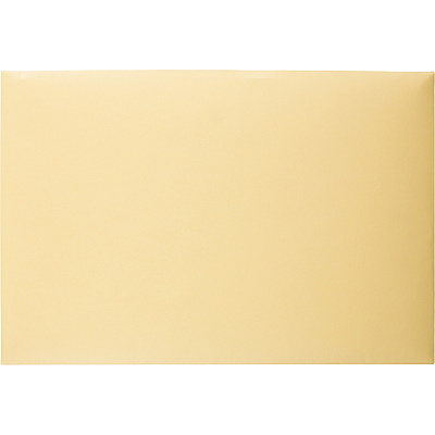 Quality Park K739 Index Flat File - Ungummed Flaps (QUA89606)