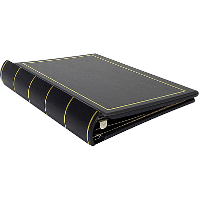 Wilson Jones Minute Book (WLJ039511)