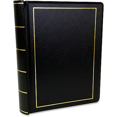 Wilson Jones Minute Book (WLJ039511)