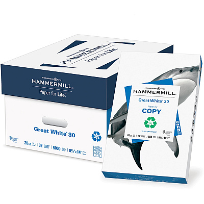 Hammermill Great White Recycled Copy Paper - White (HAM86704)