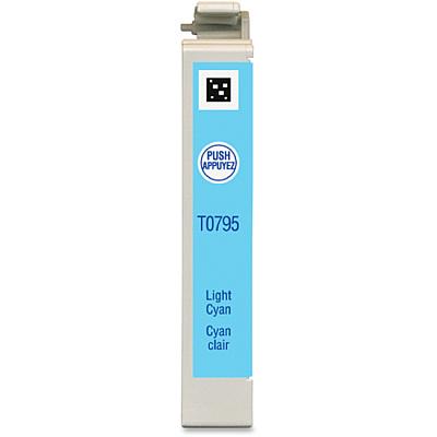 Epson 79 Original Ink Cartridge (EPST079520)