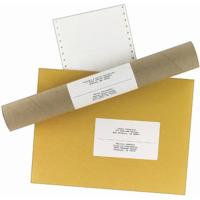 Avery Address Label (AVE4076)