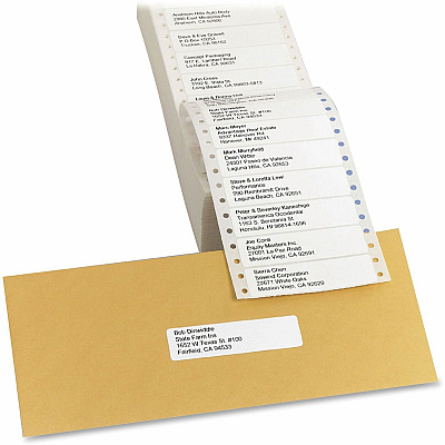 Avery Address Label (AVE4076)